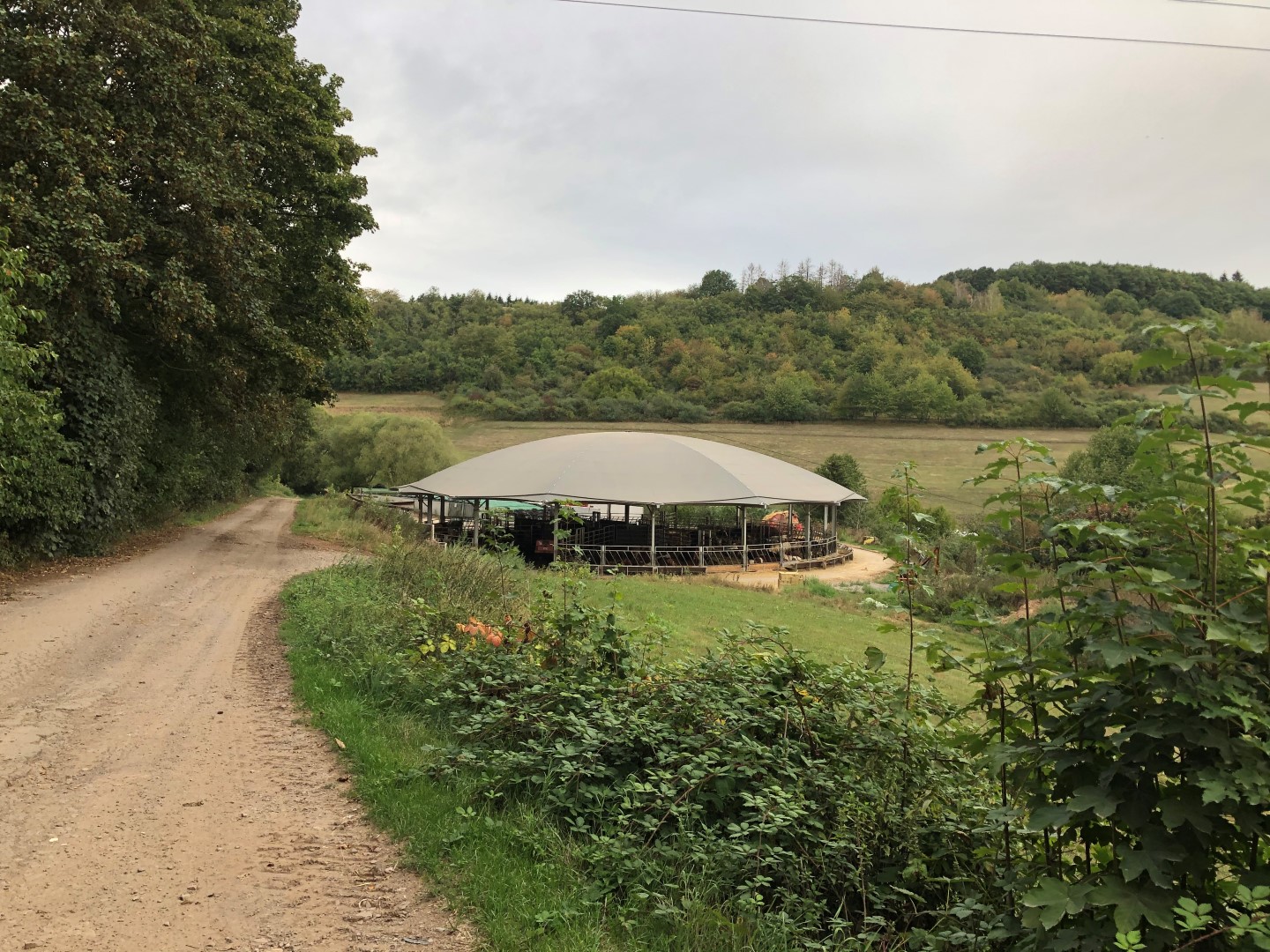 Roundhouse Rheinland-Pfalz