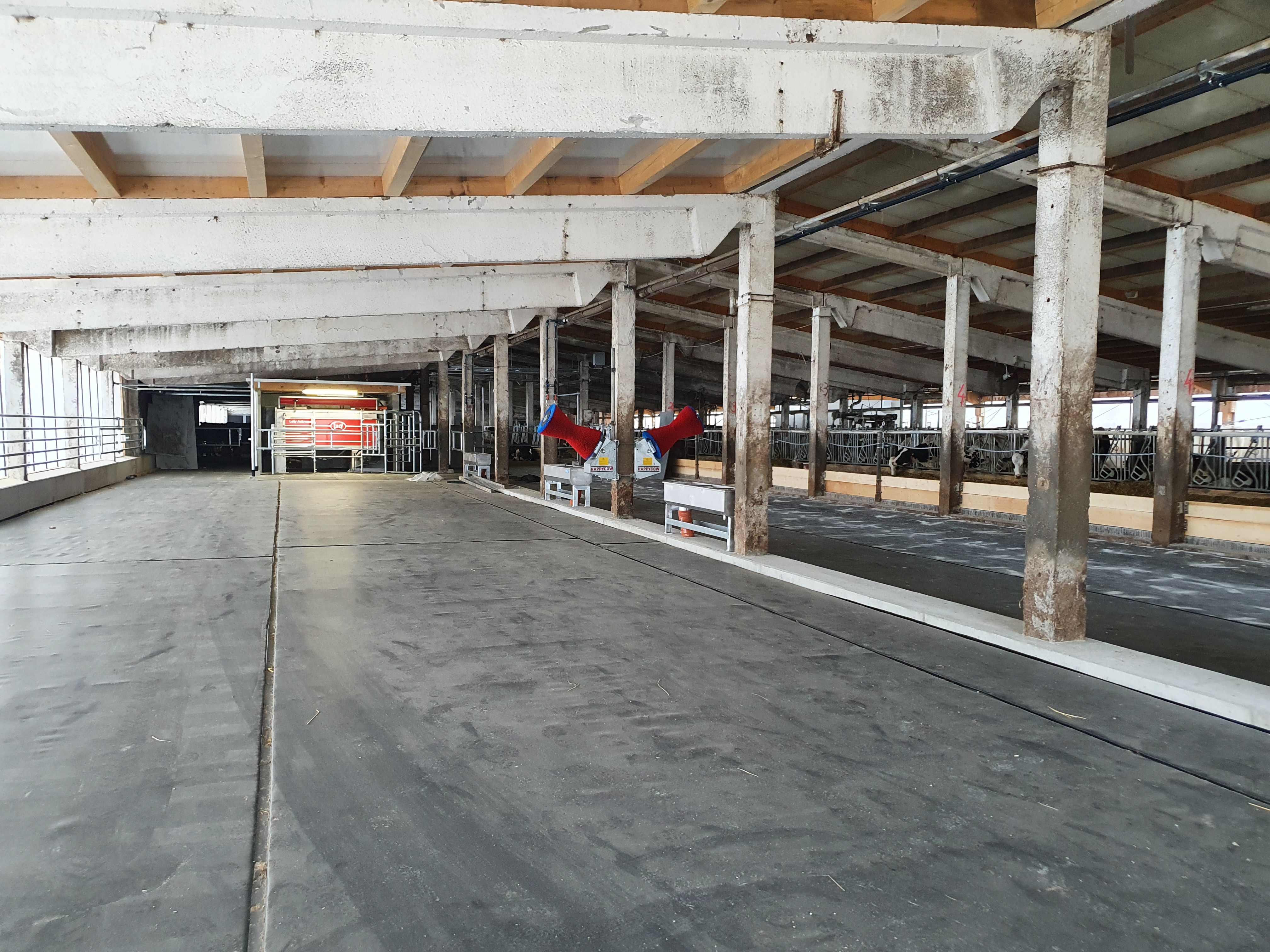 High Welfare Floor in Deutschland