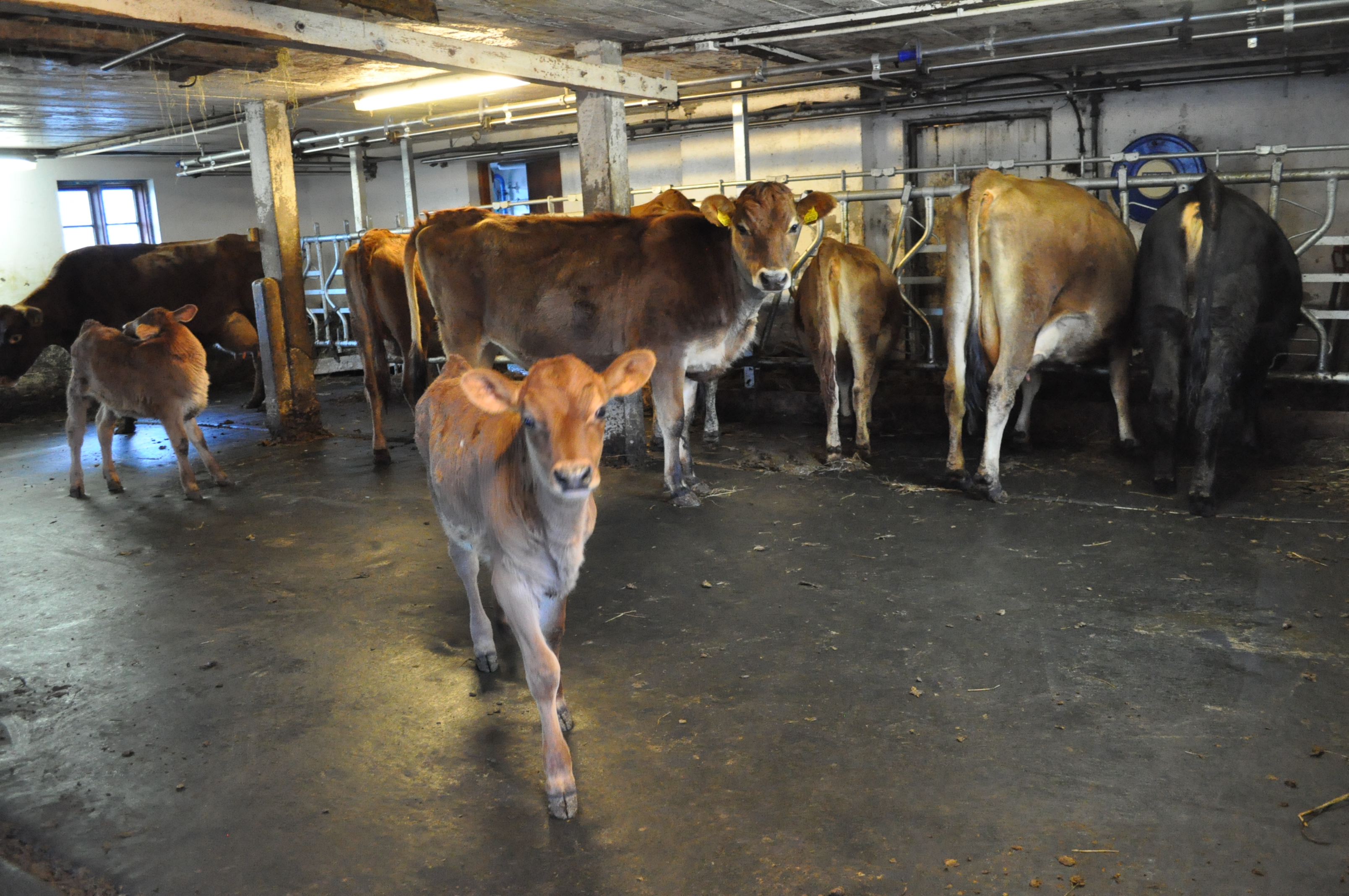 High Welfare Floor in Norwegen