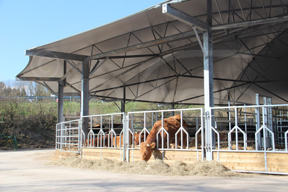 Roundhouse in der Vulkaneifel