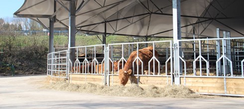 Roundhouse in der Vulkaneifel