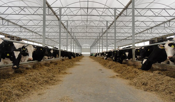 ID Agro in Tarmstedt mit dabei