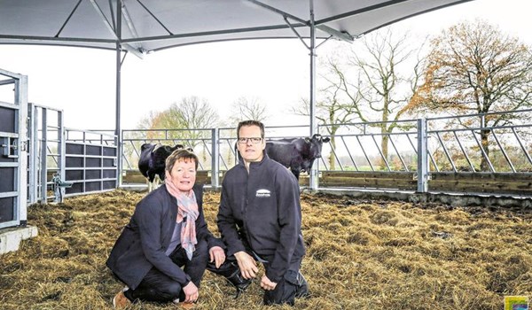 Roundhouse ist "Draußen mit Dach"