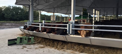 Roundhouse 30 als Tretmiststall