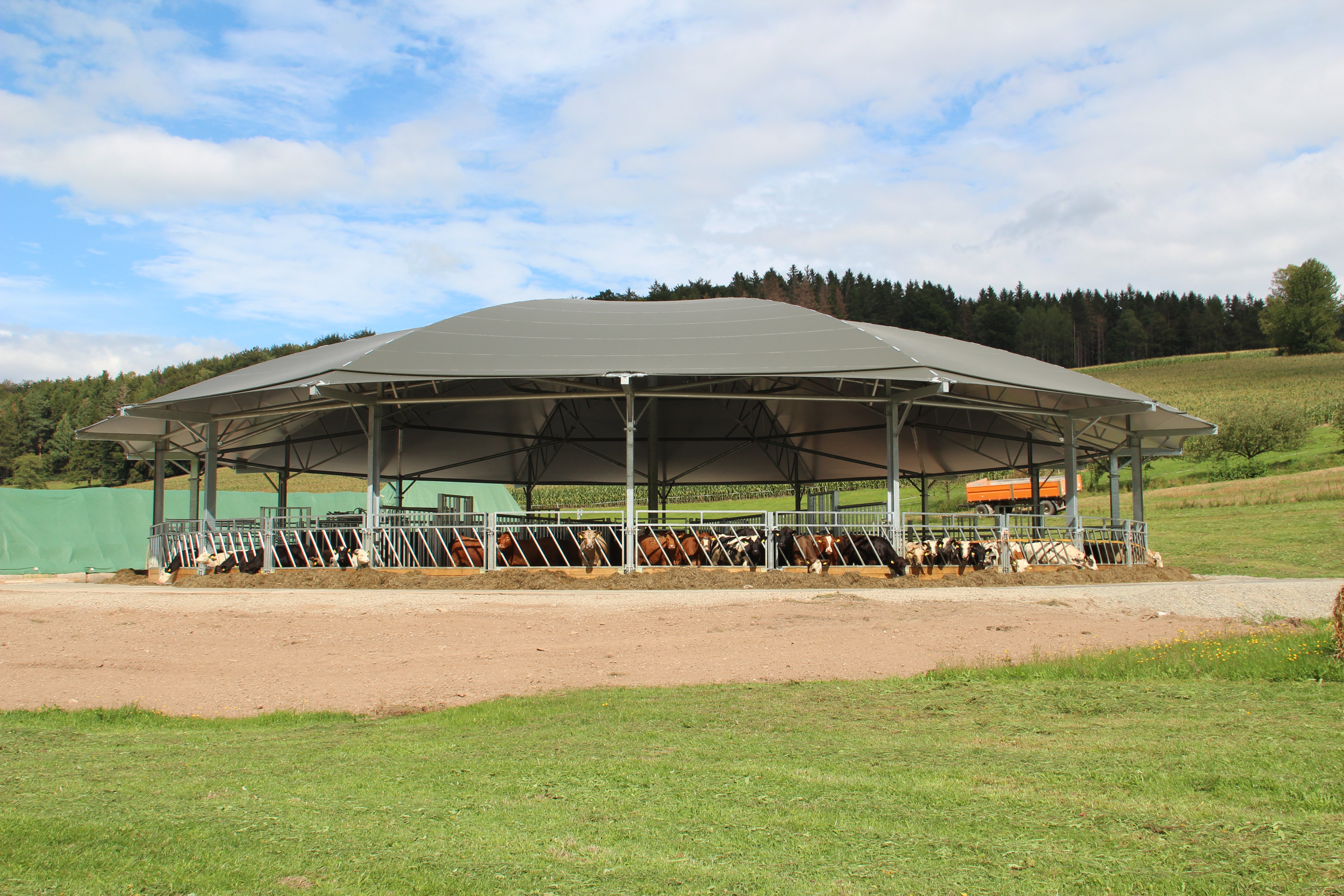 Roundhouse für Bullenmast in Hessen