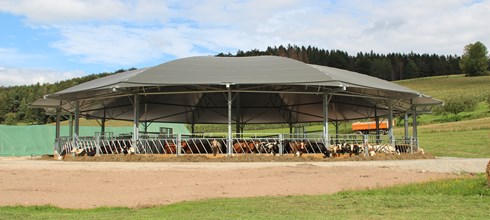 Roundhouse für Bullenmast in Hessen
