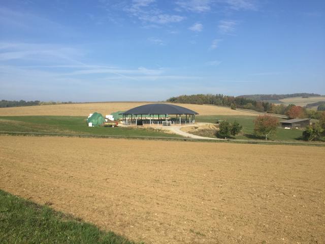 Roundhouse Stall für Muttertiere