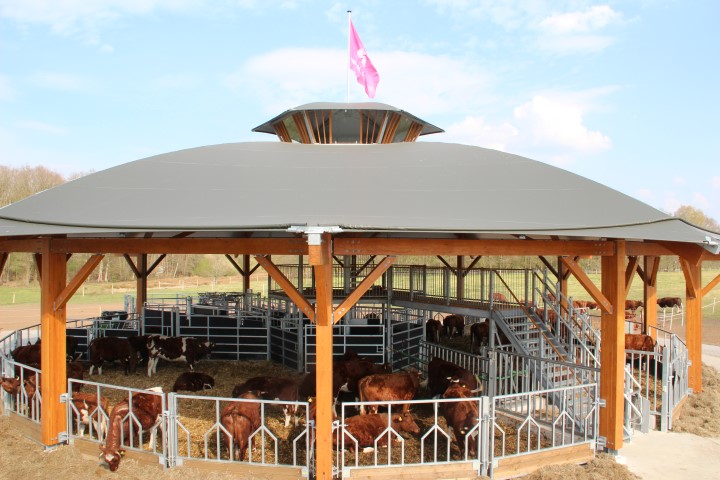 Roundhouse 22 aus Holz mit Aussichtsturm